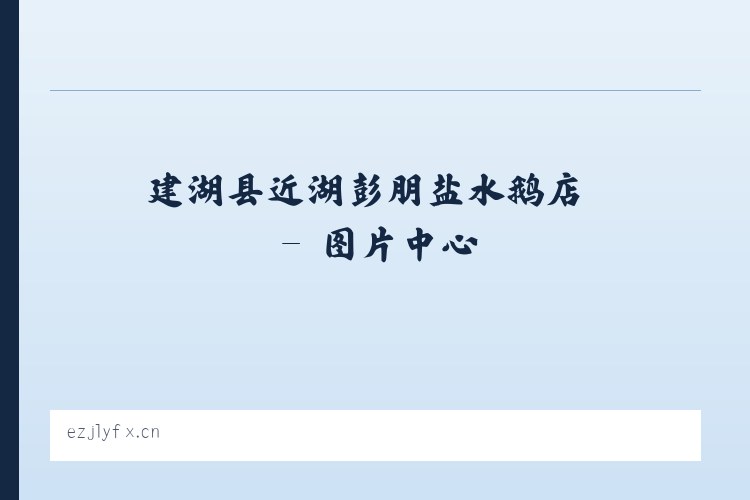 建湖县近湖彭朋盐水鹅店 列表图